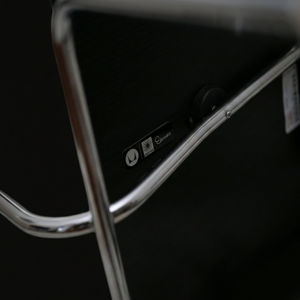 Eames Molded Plywood Dining Chair